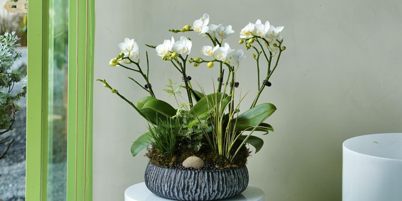 1987 Hợp Cây gì Để Bàn Làm Việc? Khai Phá Tài Khí Trong Văn Phòng