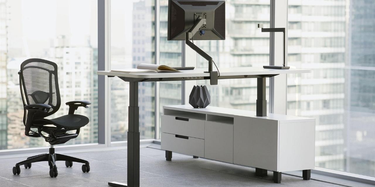 1997 hợp cây gì để bàn làm việc? Top 5 cây phong thủy mệnh Thủy mang tài lộc