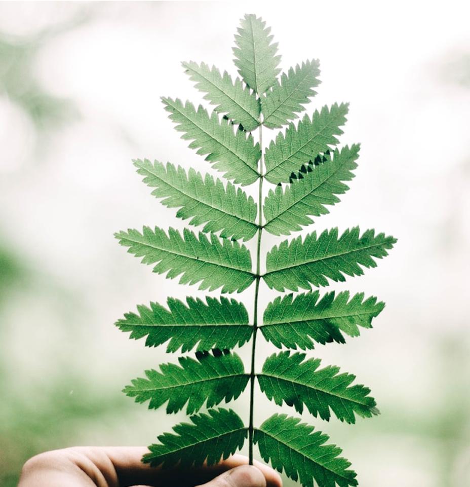 image sustainability message